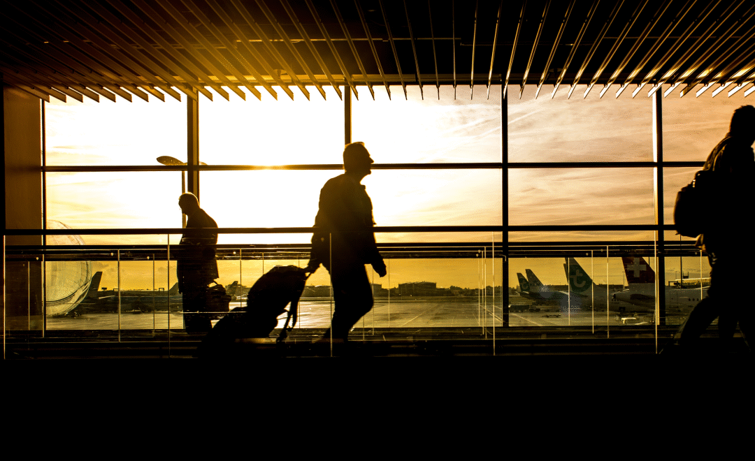 Cras sollicitudin velit nec leo rhoncus porta